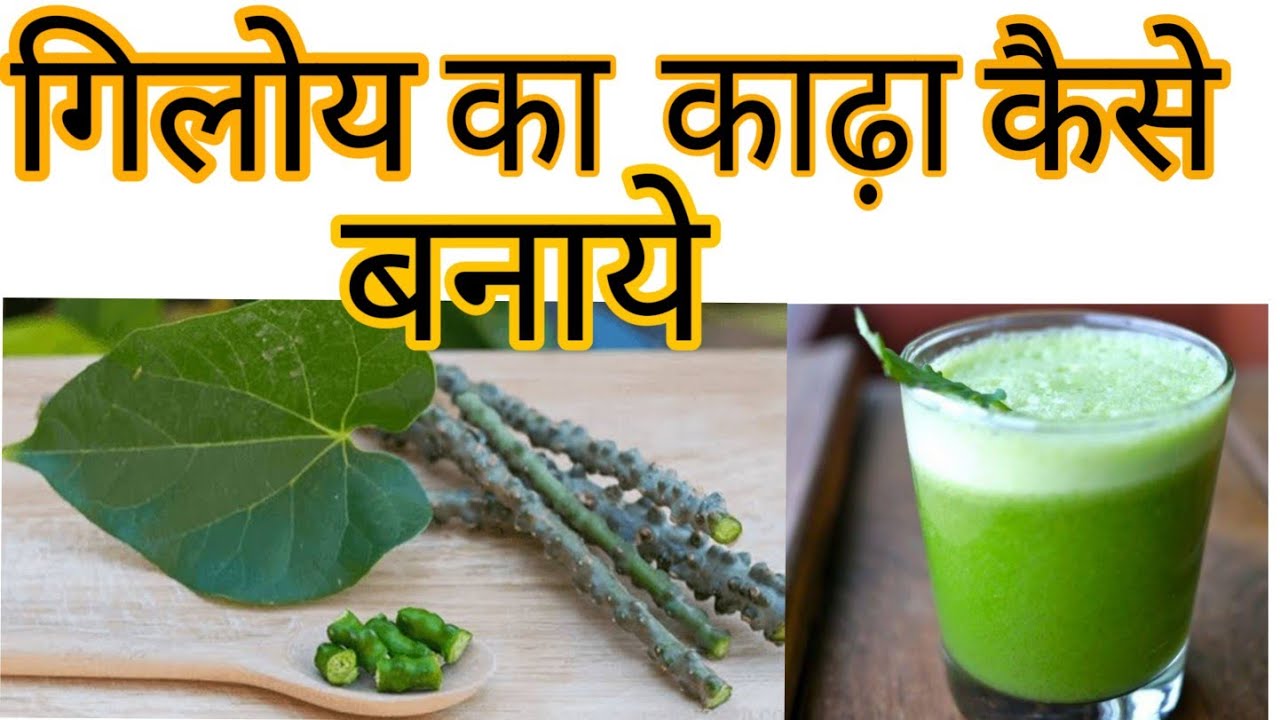घर में ‘गिलोय का काढ़ा’ बनाने का सही तरीका, जानिए कितनी मात्रा में पीना चाहिए? घर में ‘गिलोय का काढ़ा’ बनाने का सही तरीका, जानिए कितनी मात्रा में पीना चाहिए?
