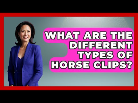 Types Of Clips For Horses
