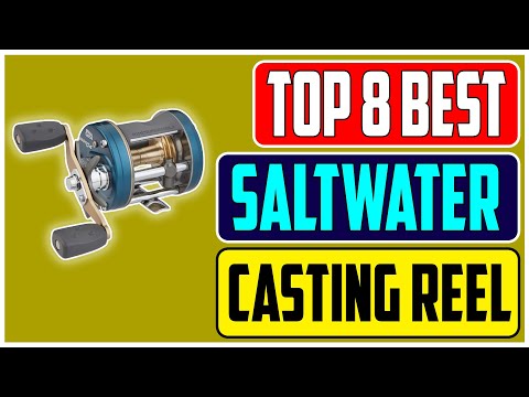 best saltwater casting reel 2022 Top 8 Best Saltwater Baitcasting Reels of 2023 Pro Anglers Reviews