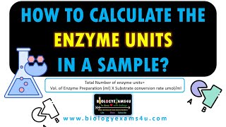 How to Calculate Enzyme Units in a sample?