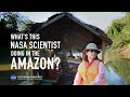 How fieldwork in the amazon is supporting nasa climate science  nisar mission travelogue