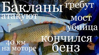 Рыбалка 2018. РыбалкА НА сазана ПодъемниКом пауком с лодки. Рыбалка на сазана - карпа. Рыбалка 2018. РыбалкА НА сазана ПодъемниКом пауком с лодки. Рыбалка на сазана - карпа.