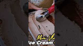 Home made ice creamyummyfood satisfying foodhomemadeicecream chat ytshorts shortvideo