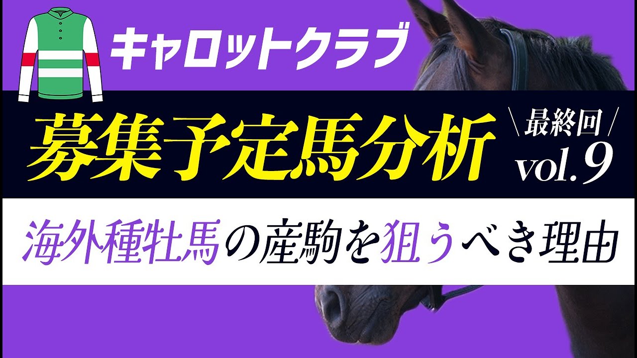 Analysis of horses up for sale at Carrot Club Vol.8 Will the