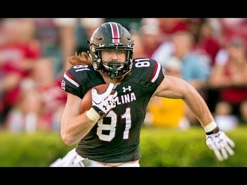 hayden hurst south carolina