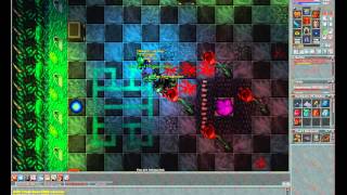 Tibia - Boss Paiz the Pauperizer (boss drakens) Thiago Sousa