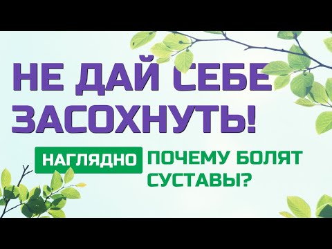 Лечение позвоночника и