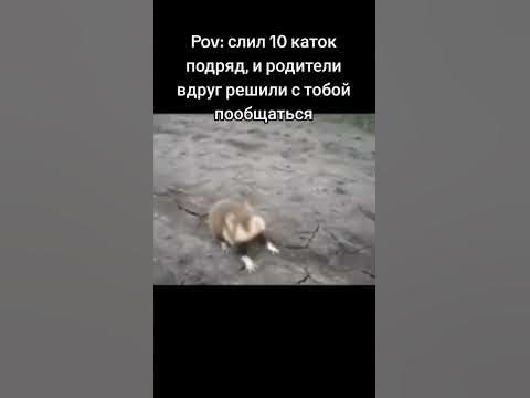Мем дота 2 #dota #dota2 - YouTube
