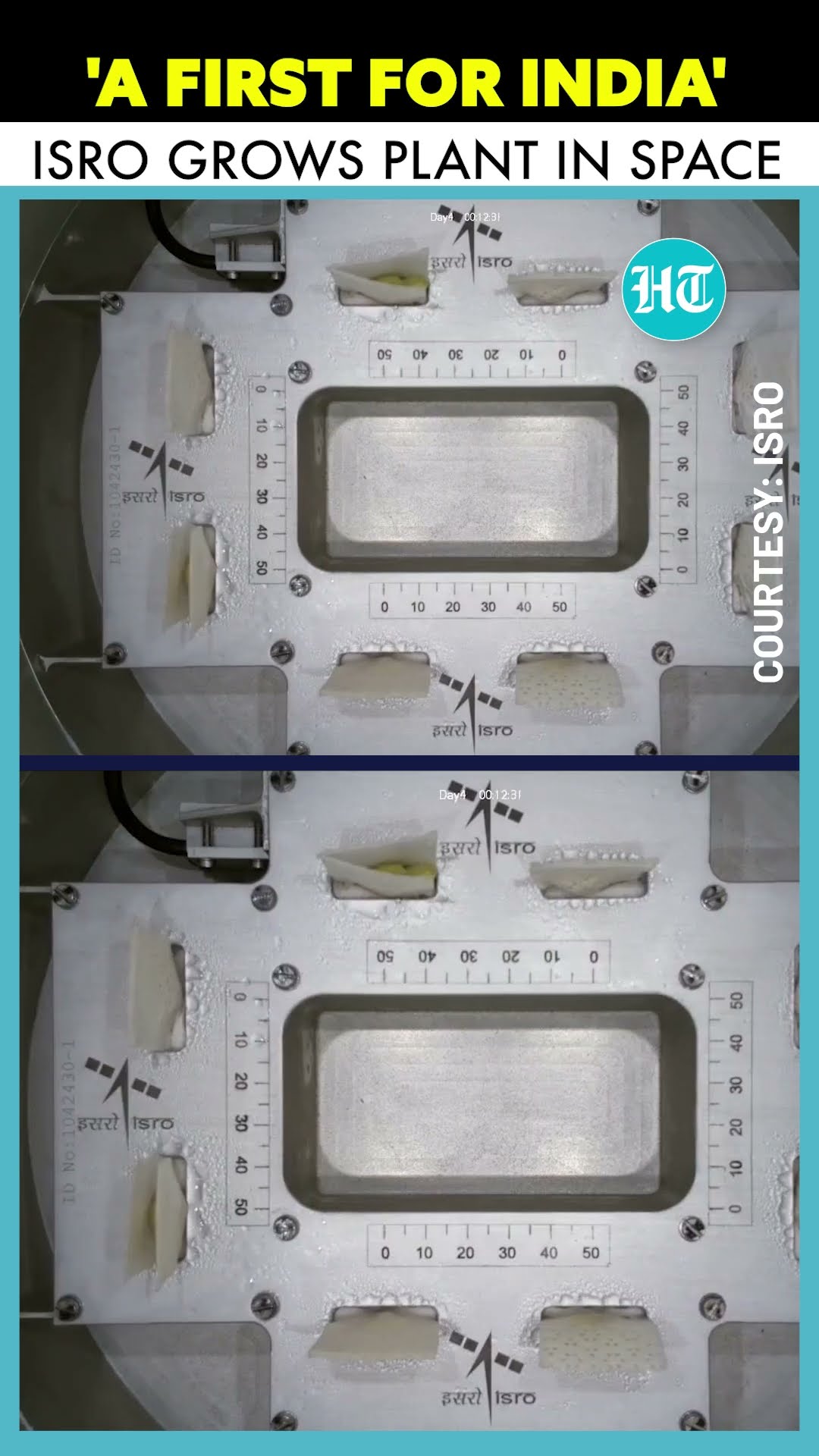 ISRO Marks Milestone In Space Agriculture As Cowpea Seeds Sprout In Space #ytshorts