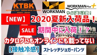 【新入荷】ワークマン【2020春夏物】カタログにもオンラインにも載っていない!【接触冷感】ジョガーパンツを紹介！セール期間中に発見！サイズ選びに注意！