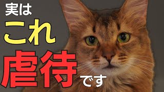 【虐待】飼い主が猫ちゃんにやってしまいがちな裏切りに値する行動7選 by 猫カフェがやってる猫のお世話 2,329 views 6 months ago 14 minutes, 31 seconds