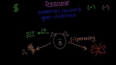 Incentive Theory