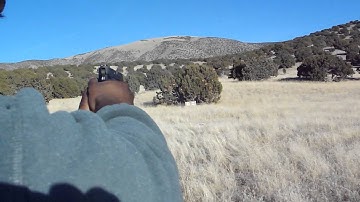 Sig 229 dak long range practice