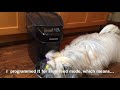 Автоматическая кормушка для собак и котов PetSafe Healthy Pet
