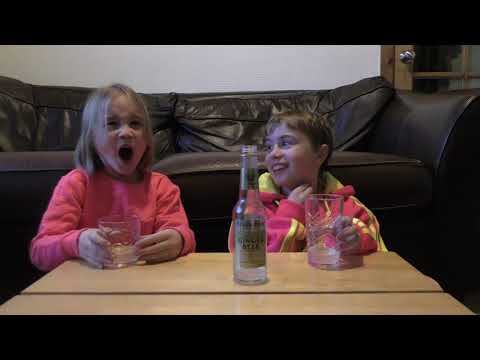 kids-try-fiery-ginger-beer-fever-tree-premium-ginger-beer-,-craft-soda-review
