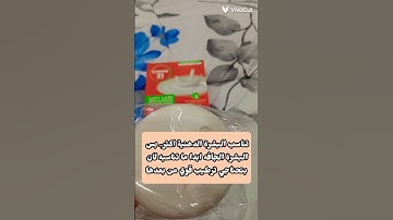 #الشريم #قرآن #قران_كريم #مصر #سعود_الشريم #المصحف #سورة_البقرة #السعودية #الجزائر #المغرب
