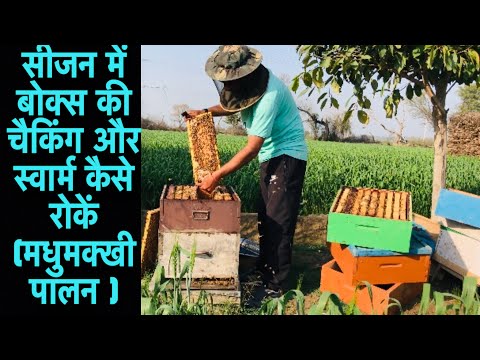 वीडियो: लेंटेन सीजन कब तक है?