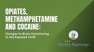 Opiates, Methamphetamine and Cocaine: Changes in Brain Functioning in the Exposed Child