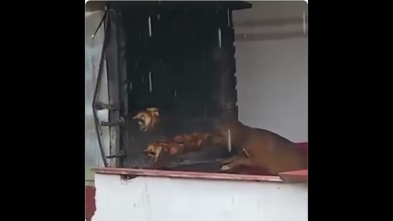 Get it while it's hot!! 