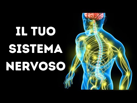 Video: Nervoso è un aggettivo?