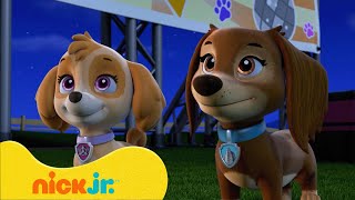 Patrulha Canina | Melhores Momentos da 9ª Temporada de Patrulha Canina! 🐶 (Parte 1) | Nick Jr.