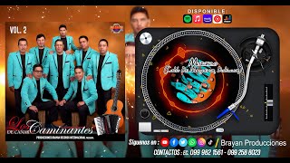 Video thumbnail of "MOSAICO (CALDO DE MANGUERAS, DOLENCIAS) | Los Caminantes De Cañar [AUDIO OFICIAL]"