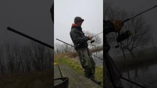 Tremarella I St. Restrup Nordjylland