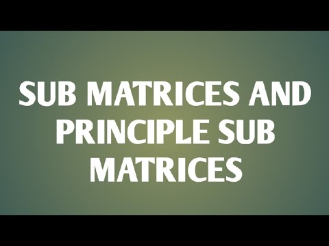 Update SUB MATRICES AND PRINCIPLE SUB MATRICES || MATRICES || MATHS || CBSE || #MATHS_VERSE