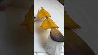 ULTIMATE Carnivore Diet Taco Shells (best way to make cheddar cheese shells) #carnivoretacoshells