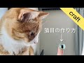 猫の目を作ってウラに見せたところ…【本日の猫384】UV Resin Cats eye