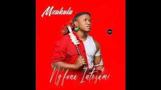 Mzukulu- Ngelinye ilanga