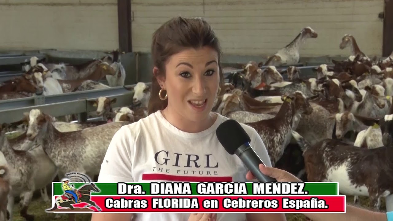 3er Programa en España La Florida