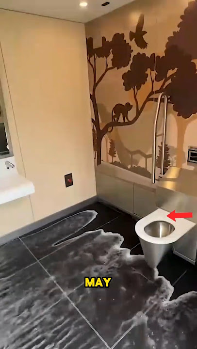 The Dutch invented the world's cleanest public toilet.🤔#shorts  #facts #netherlands