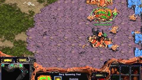 Starcraft Brood War Z vs P in Python 1.3