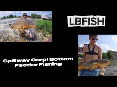 SPILLWAY BOTTOM FEEDER FISHING🎣 ☀️