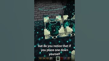 Useful SECRETS about SCULK SHRIEKER