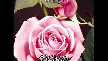 سورة القدر | الشيخ فارس عباد حالات واتساب،  تلاوه خاشعه