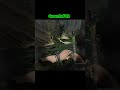 Green Hell VR moments #greenhellsurvival #gaming #funnyclips #trending #vr #funnymoments