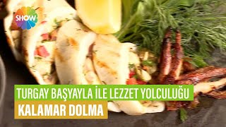 Kalamar Dolma Tarifi Tur Başyayla İle Lezzet Yolculuğu