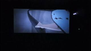 denji vs typhoon devil full fight(Chainsaw man Reze Arc)