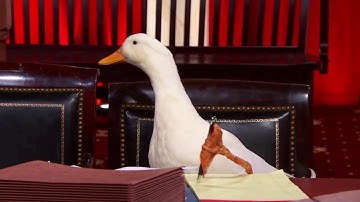 Hollingsworth v. Perry: Oral Argument - March 26, 2013