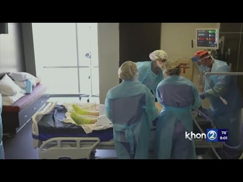 Hawaii sees spike in pediatric COVID cases, increase in infant hospitalizations