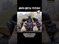 «Дари цветы героям!»: трогательный проект телеканала «Беларусь 4. Гродно» в преддверии 9 Мая