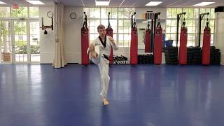 Online Course: Adult Advanced TKD: Lesson #21