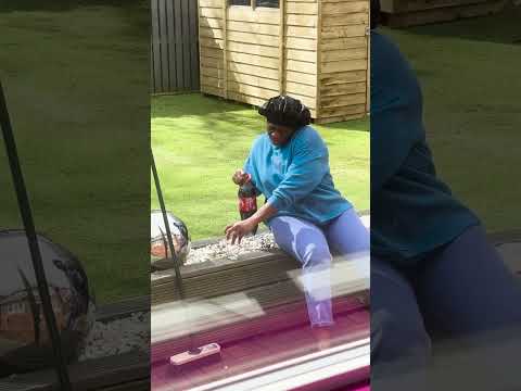 Coke and mentos