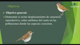 Juntos pero no revueltos ¿Por los cantos? Un caso sobre los Zorzales/ Biól. Violeta Andrade