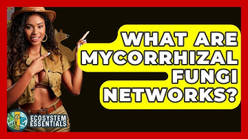 What Are Mycorrhizal Fungi Networks? - Ecosystem Essentials