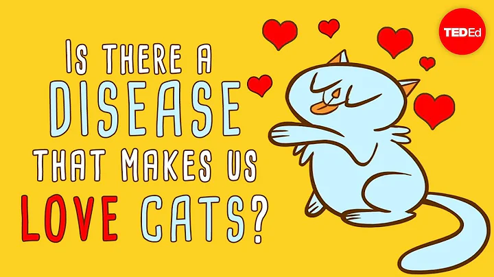 Is there a disease that makes us love cats? - Jaap de Roode