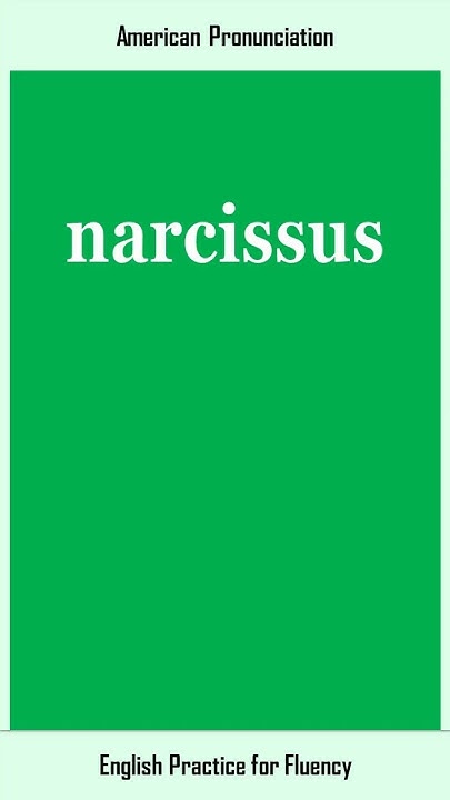 narcissus-how-to-say-or-pronounce-narcissus-in-american-british