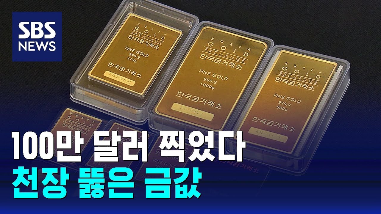 100만 달러 찍은 금괴…천장 뚫은 금값, 내년까지 오르나 / SBS